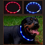 Pet Waterproof USB Rechargeable LED Dog Collar Night Safety Flashing Pet Supplies Dog Accessories For Puppy LED Collar Leash